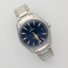 Omega Aqua Terra